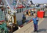 D:\Pictures\weymouth\PIC00003.jpg (62963 bytes)